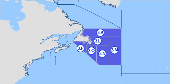 apakšapgabals 21.3 – Newfoundland