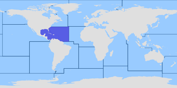 Зона на ФАО 31 - Централна западна част на Атлантическия океан