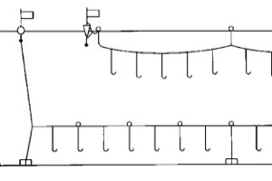 Set longlines