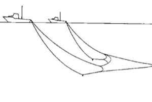 Traule pelagice cu tractare dublă