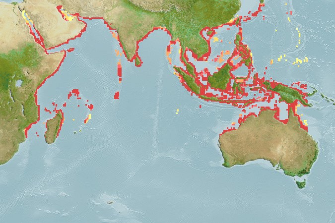 Aquamaps - Computer Generated Native Distribution Map for Brachirus orientalis