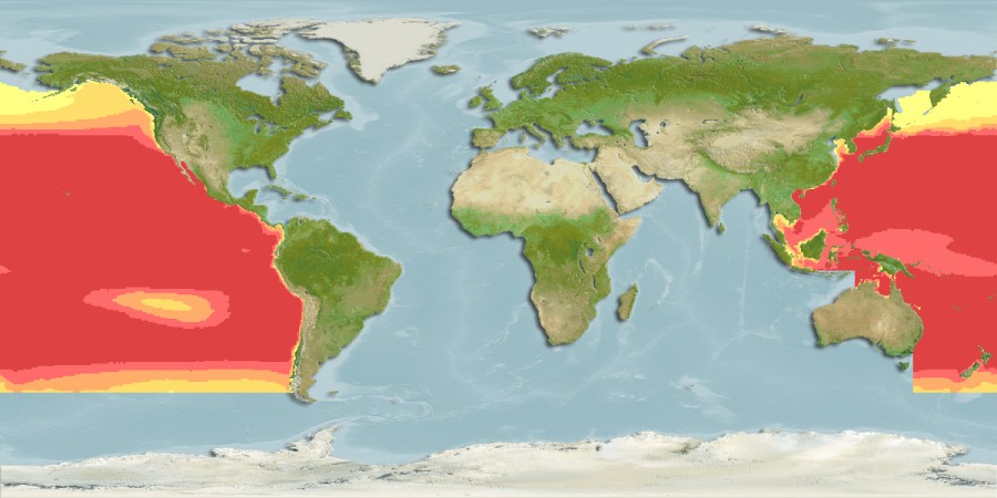 Aquamaps - Computer Generated Native Distribution Map for Thunnus orientalis