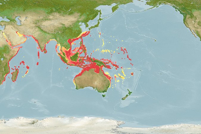 Aquamaps - Computer Generated Native Distribution Map for Abalistes stellatus