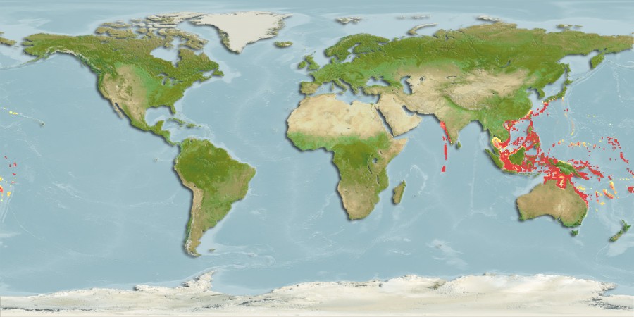 Aquamaps - Computer Generated Native Distribution Map for Lutjanus rufolineatus