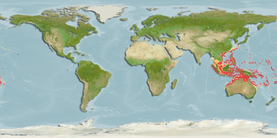 Aquamaps - Computer Generated Native Distribution Map for Parupeneus crassilabris