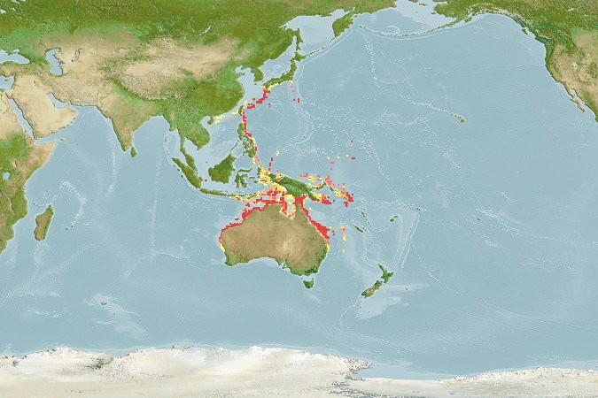 Aquamaps - Computer Generated Native Distribution Map for Lethrinus ravus