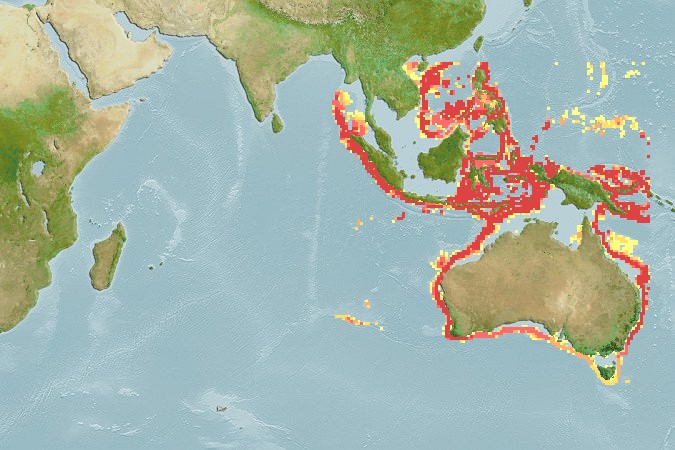 Aquamaps - Computer Generated Native Distribution Map for Squalus montalbani