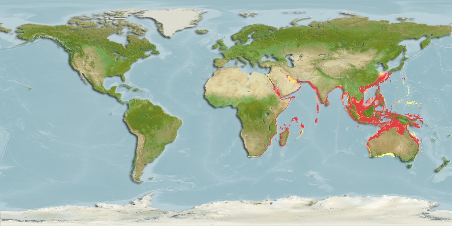 Aquamaps - Computer Generated Native Distribution Map for Platycephalus indicus