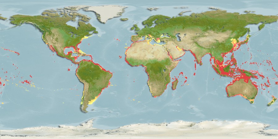 Aquamaps - Computer Generated Native Distribution Map for Echeneis naucrates