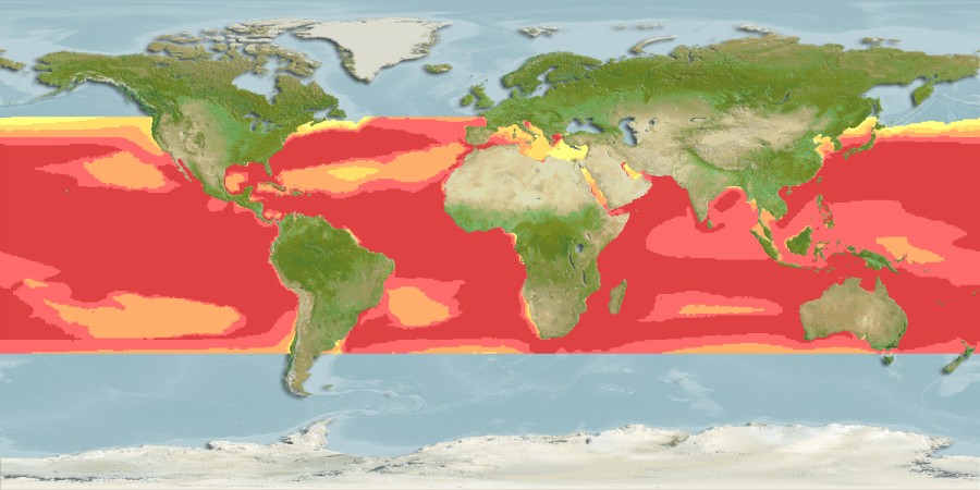 Aquamaps - Computer Generated Native Distribution Map for Coryphaena hippurus
