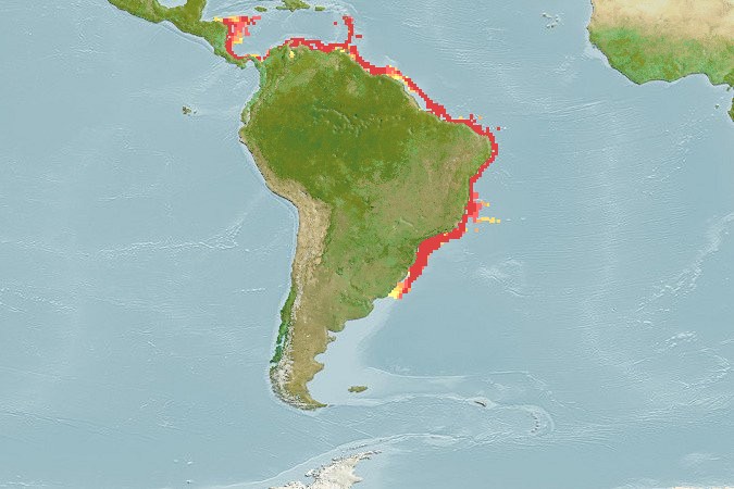 Aquamaps - Computer Generated Native Distribution Map for Pristipomoides freemani