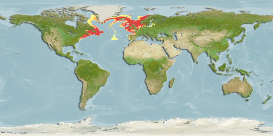 Aquamaps - Computer Generated Native Distribution Map for Glyptocephalus cynoglossus