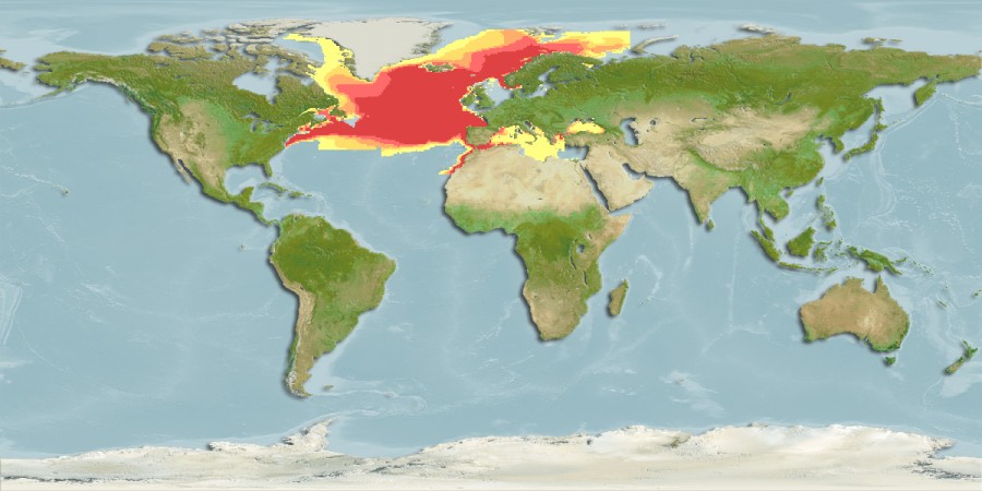 Aquamaps - Computer Generated Native Distribution Map for Micromesistius poutassou