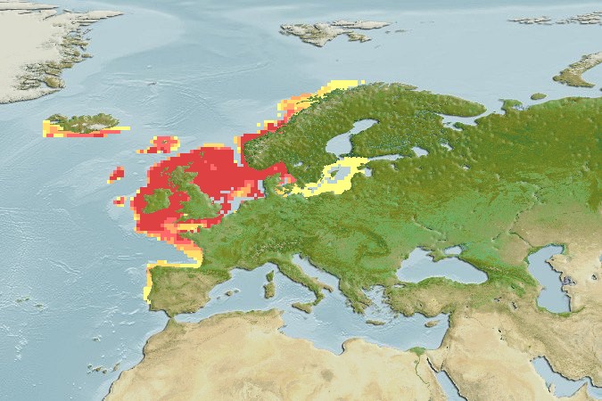 Aquamaps - Computer Generated Native Distribution Map for Pollachius pollachius