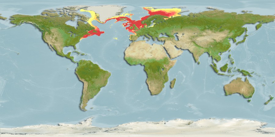 Aquamaps - Computer Generated Native Distribution Map for Brosme brosme