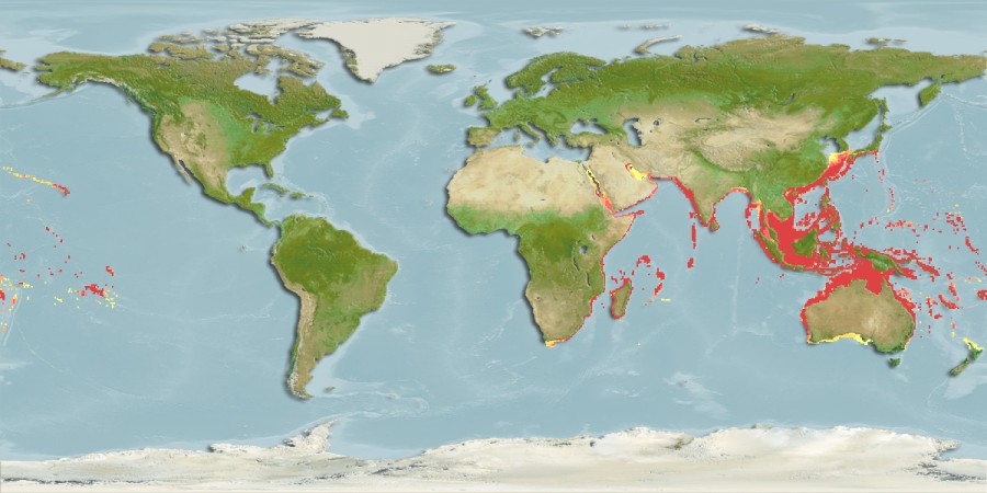 Aquamaps - Computer Generated Native Distribution Map for Euthynnus affinis