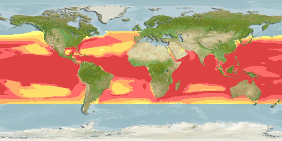 Aquamaps - Computer Generated Native Distribution Map for Istiophorus platypterus