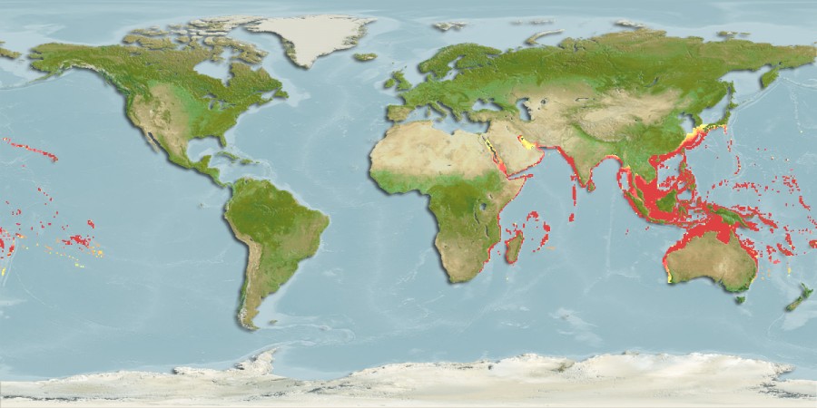 Aquamaps - Computer Generated Native Distribution Map for Lutjanus kasmira