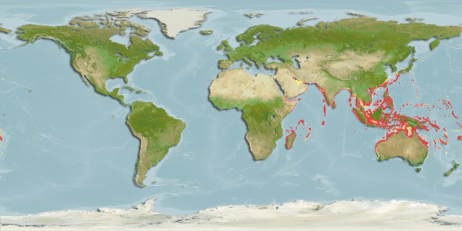 Aquamaps - Computer Generated Native Distribution Map for Lutjanus quinquelineatus