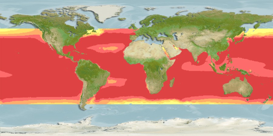 Aquamaps - Computer Generated Native Distribution Map for Thunnus obesus