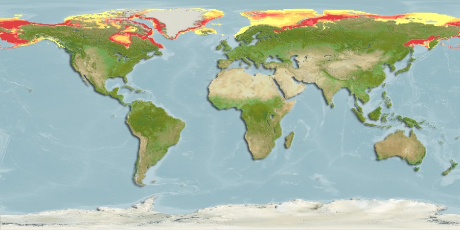 Aquamaps - Computer Generated Native Distribution Map for Boreogadus saida