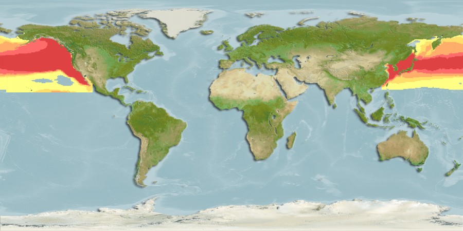 Aquamaps - Computer Generated Native Distribution Map for Cololabis saira