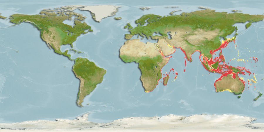 Aquamaps - Computer Generated Native Distribution Map for Decapterus russelli