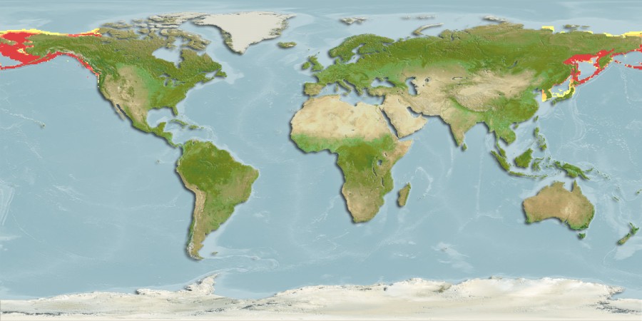 Aquamaps - Computer Generated Native Distribution Map for Eleginus gracilis