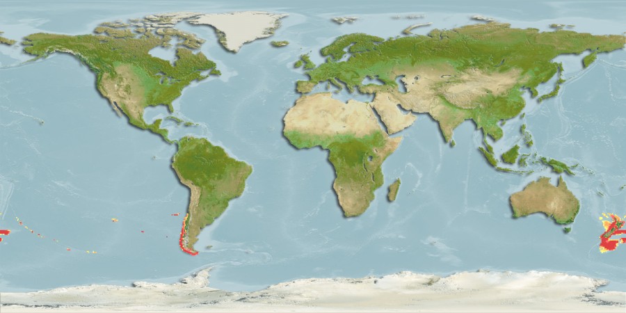 Aquamaps - Computer Generated Native Distribution Map for Merluccius australis