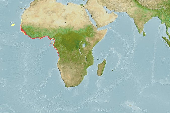 Aquamaps - Computer Generated Native Distribution Map for Pentanemus quinquarius