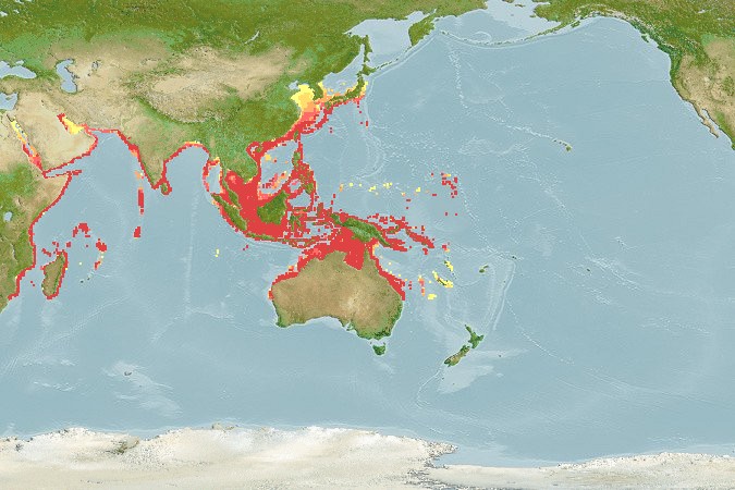 Aquamaps - Computer Generated Native Distribution Map for Pomadasys argenteus