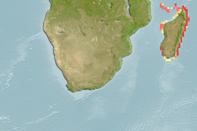 Aquamaps - Computer Generated Native Distribution Map for Argyrosomus hololepidotus
