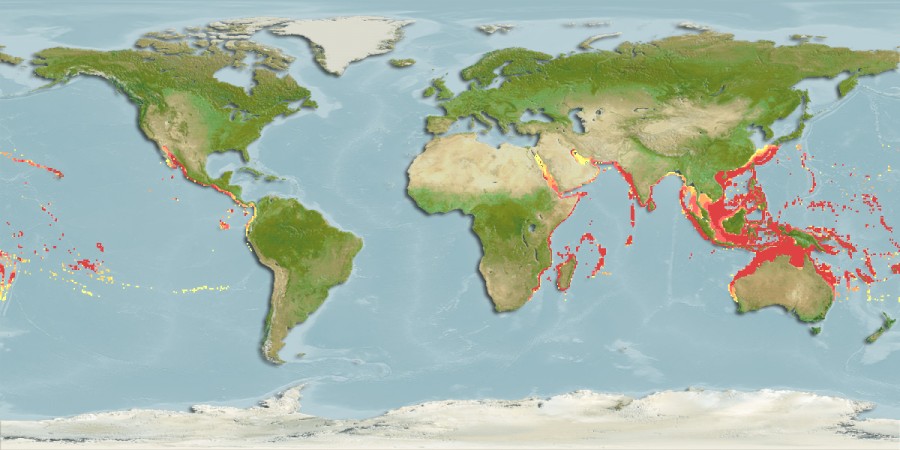 Aquamaps - Computer Generated Native Distribution Map for Carcharhinus albimarginatus
