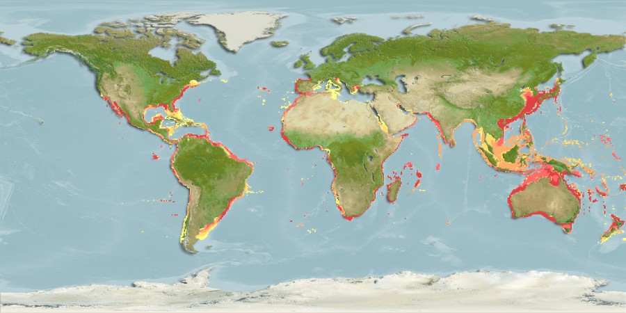 Aquamaps - Computer Generated Native Distribution Map for Carcharhinus brachyurus