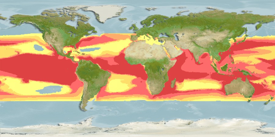 Aquamaps - Computer Generated Native Distribution Map for Carcharhinus longimanus