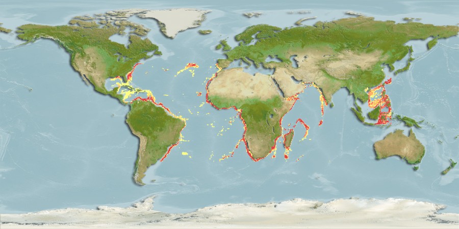 Aquamaps - Computer Generated Native Distribution Map for Deania profundorum
