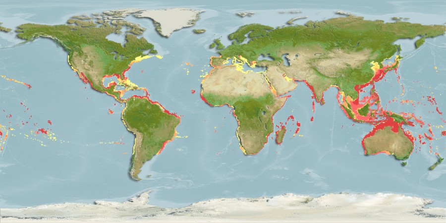Aquamaps - Computer Generated Native Distribution Map for Decapterus macarellus
