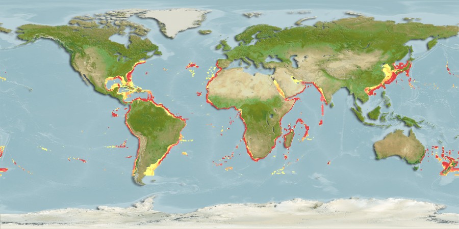Aquamaps - Computer Generated Native Distribution Map for Etmopterus pusillus