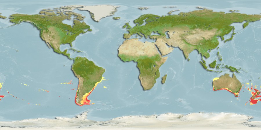 Aquamaps - Computer Generated Native Distribution Map for Genypterus blacodes