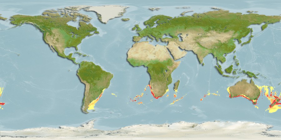 Aquamaps - Computer Generated Native Distribution Map for Hyperoglyphe antarctica