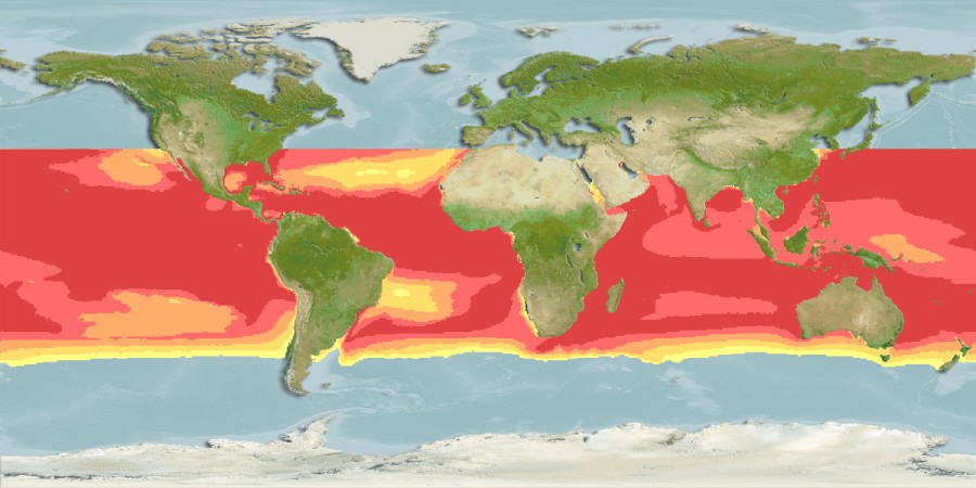 Aquamaps - Computer Generated Native Distribution Map for Isistius brasiliensis