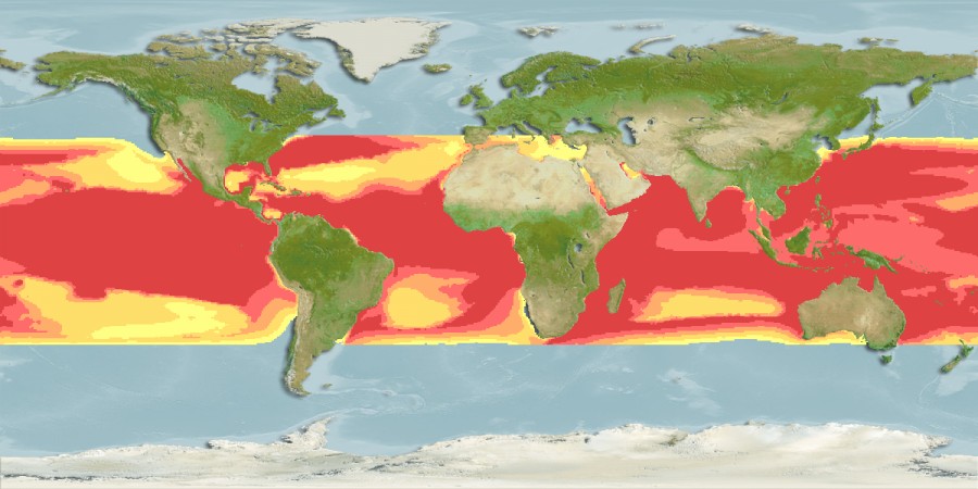Aquamaps - Computer Generated Native Distribution Map for Sphyrna mokarran