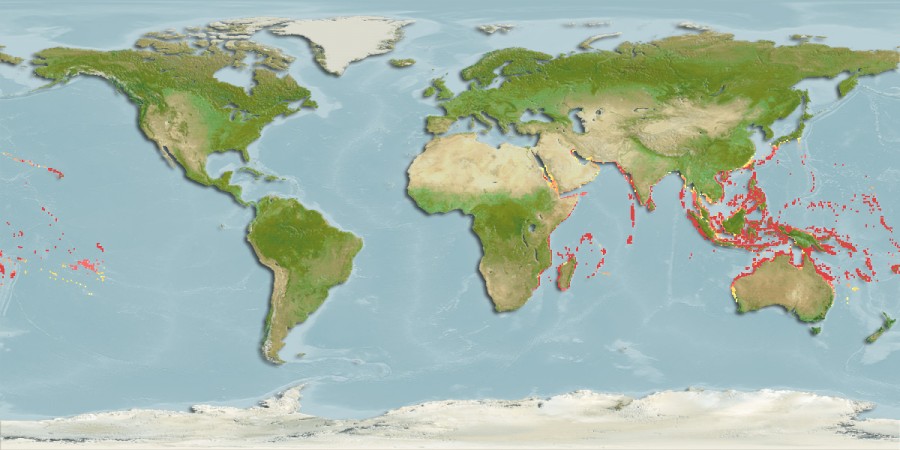 Aquamaps - Computer Generated Native Distribution Map for Acanthurus lineatus