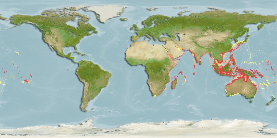 Aquamaps - Computer Generated Native Distribution Map for Alepes djedaba