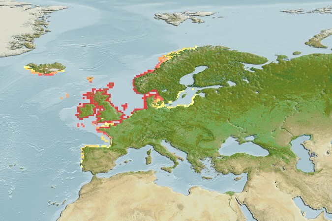 Aquamaps - Computer Generated Native Distribution Map for Ciliata mustela