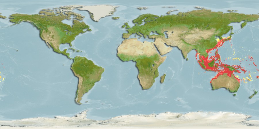Aquamaps - Computer Generated Native Distribution Map for Decapterus maruadsi