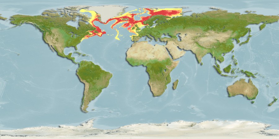 Aquamaps - Computer Generated Native Distribution Map for Hippoglossus hippoglossus