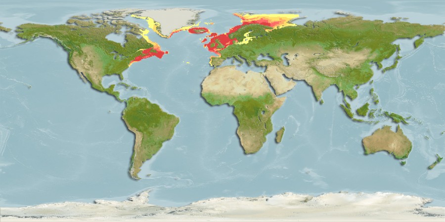 Aquamaps - Computer Generated Native Distribution Map for Melanogrammus aeglefinus