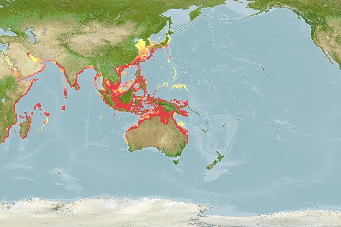 Aquamaps - Computer Generated Native Distribution Map for Parastromateus niger
