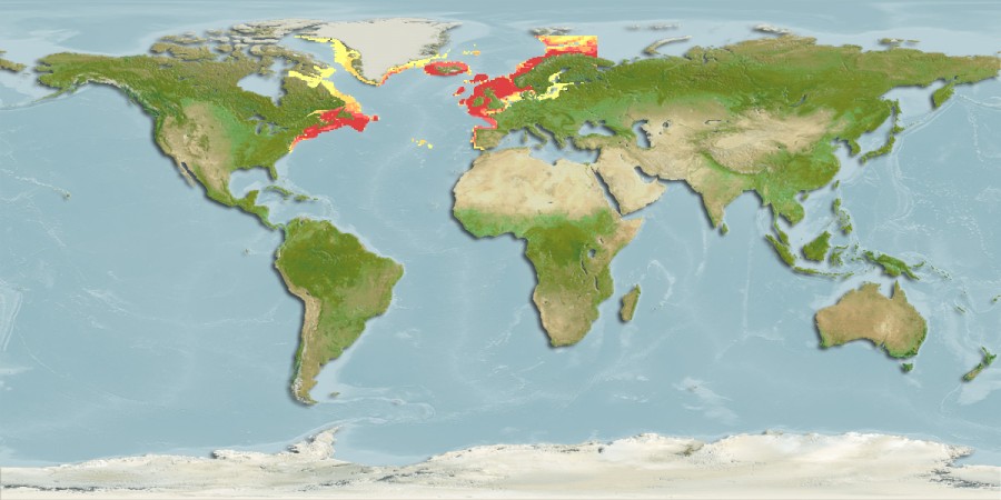 Aquamaps - Computer Generated Native Distribution Map for Pollachius virens